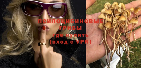 не бодяженный Алзамай