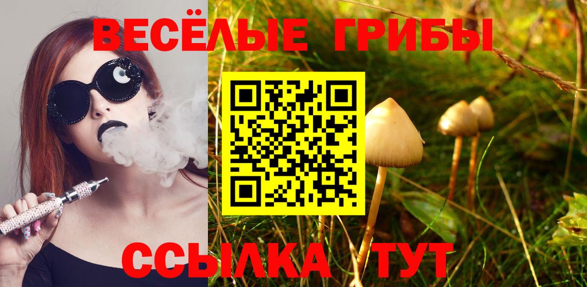Псилоцибиновые грибы Psilocybe Глазов